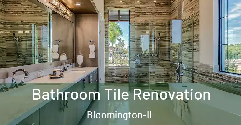 inner Bathroom imggen Bathroom Tile Renovation Bloomington-IL