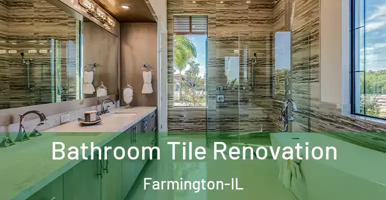 inner Bathroom imggen Bathroom Tile Renovation Farmington-IL