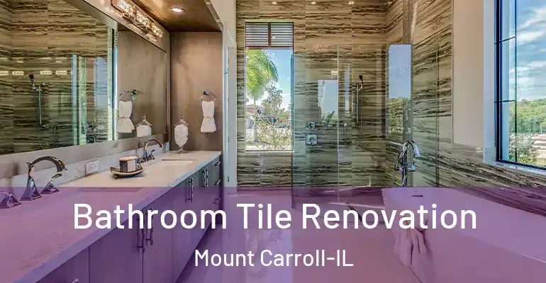 inner Bathroom imggen Bathroom Tile Renovation Mount Carroll-IL