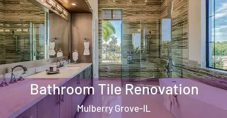 inner Bathroom imggen Bathroom Tile Renovation Mulberry Grove-IL