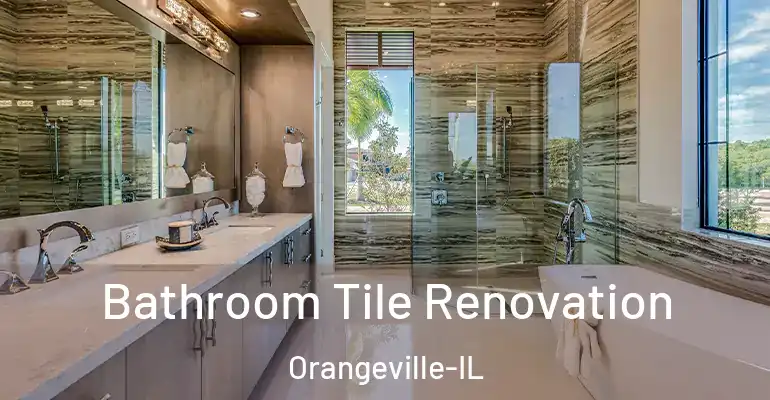 inner Bathroom imggen Bathroom Tile Renovation Orangeville-IL