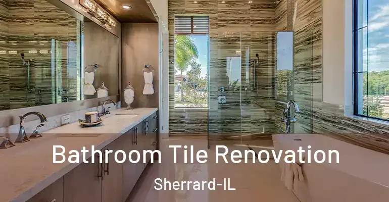 inner Bathroom imggen Bathroom Tile Renovation Sherrard-IL