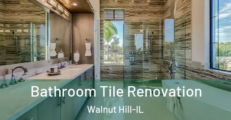 inner Bathroom imggen Bathroom Tile Renovation Walnut Hill-IL