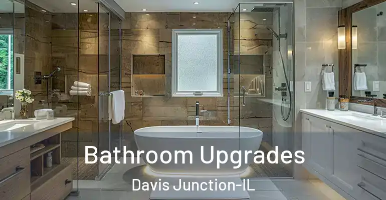 inner Bathroom imggen Bathroom Upgrades Davis Junction-IL