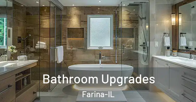 inner Bathroom imggen Bathroom Upgrades Farina-IL