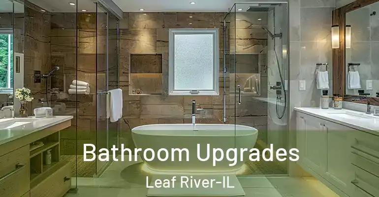 inner Bathroom imggen Bathroom Upgrades Leaf River-IL