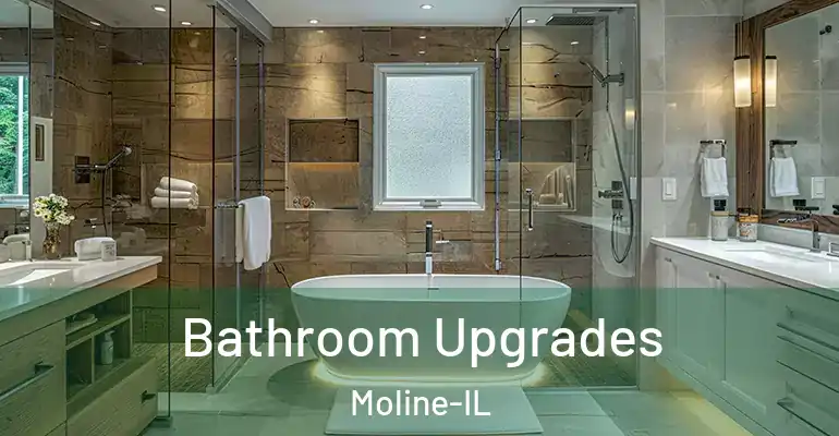 inner Bathroom imggen Bathroom Upgrades Moline-IL