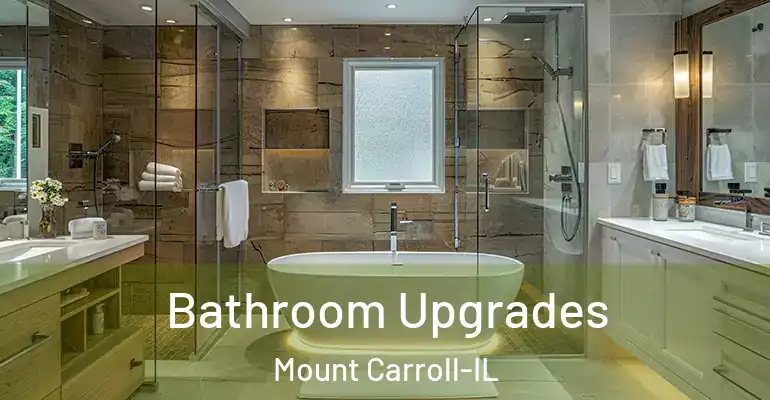 inner Bathroom imggen Bathroom Upgrades Mount Carroll-IL