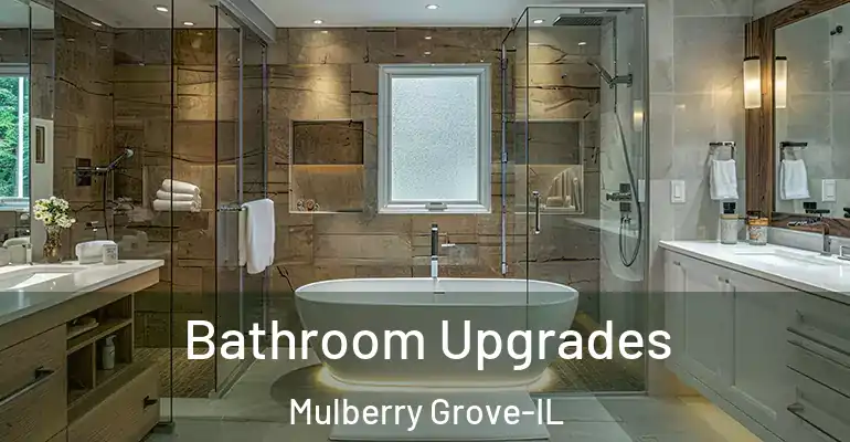 inner Bathroom imggen Bathroom Upgrades Mulberry Grove-IL