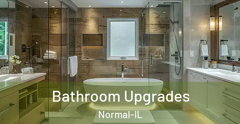 inner Bathroom imggen Bathroom Upgrades Normal-IL