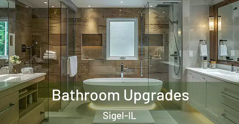 inner Bathroom imggen Bathroom Upgrades Sigel-IL