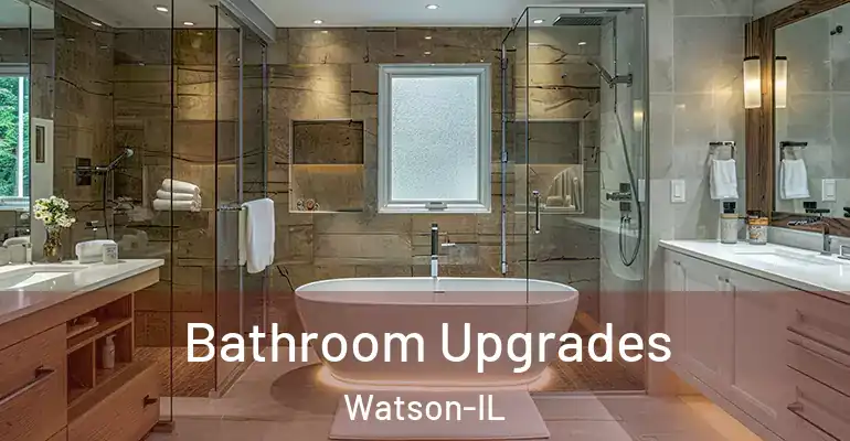 inner Bathroom imggen Bathroom Upgrades Watson-IL