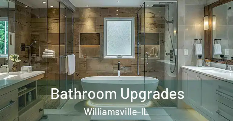inner Bathroom imggen Bathroom Upgrades Williamsville-IL