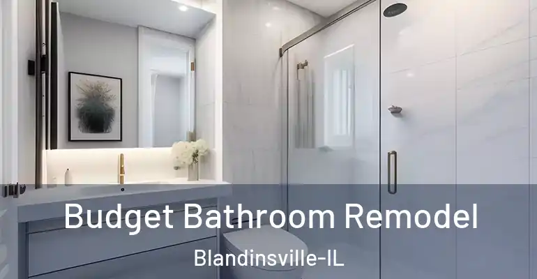 inner Bathroom imggen Budget Bathroom Remodel Blandinsville-IL