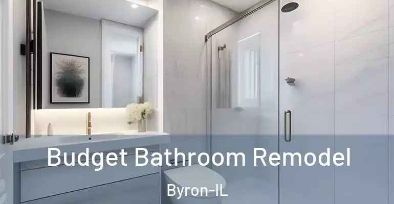 inner Bathroom imggen Budget Bathroom Remodel Byron-IL