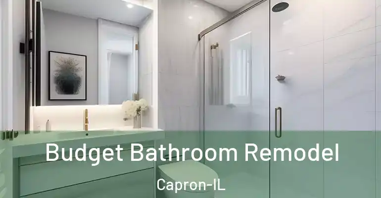 inner Bathroom imggen Budget Bathroom Remodel Capron-IL