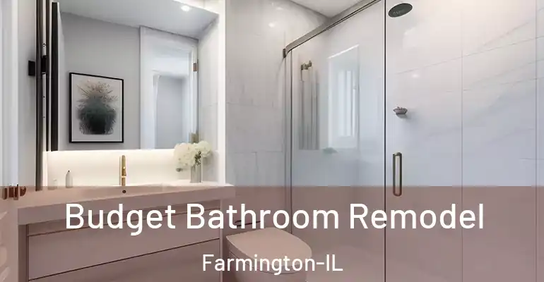 inner Bathroom imggen Budget Bathroom Remodel Farmington-IL