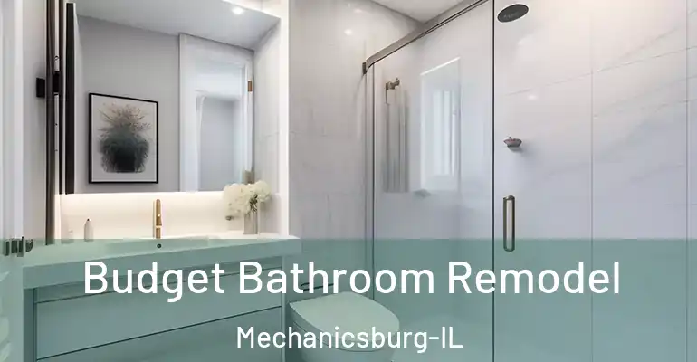 inner Bathroom imggen Budget Bathroom Remodel Mechanicsburg-IL