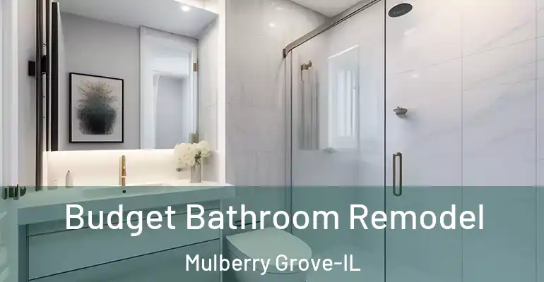 inner Bathroom imggen Budget Bathroom Remodel Mulberry Grove-IL