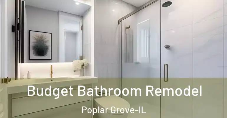 inner Bathroom imggen Budget Bathroom Remodel Poplar Grove-IL