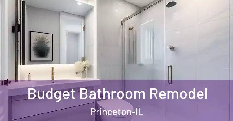 inner Bathroom imggen Budget Bathroom Remodel Princeton-IL
