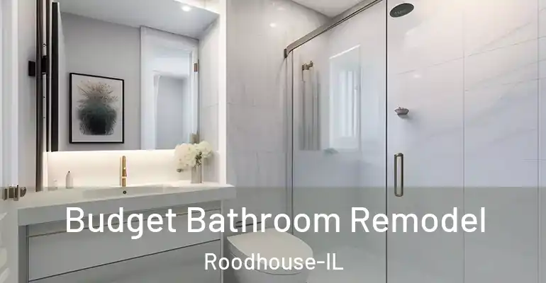 inner Bathroom imggen Budget Bathroom Remodel Roodhouse-IL