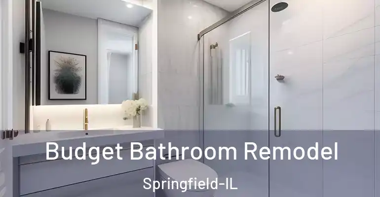 inner Bathroom imggen Budget Bathroom Remodel Springfield-IL