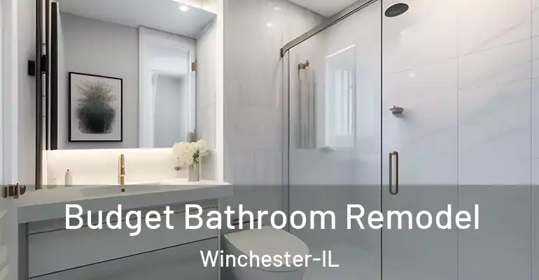 inner Bathroom imggen Budget Bathroom Remodel Winchester-IL