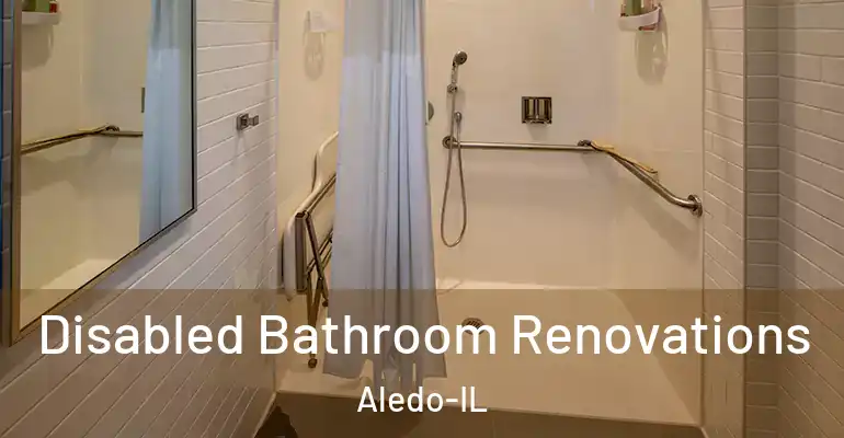 inner Bathroom imggen Disabled Bathroom Renovations Aledo-IL