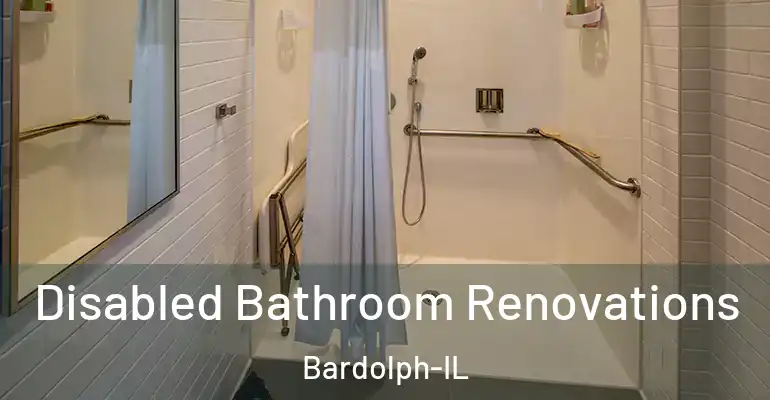 inner Bathroom imggen Disabled Bathroom Renovations Bardolph-IL