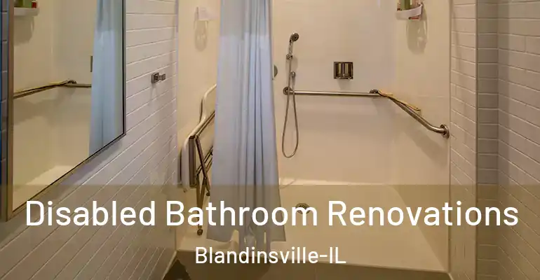 inner Bathroom imggen Disabled Bathroom Renovations Blandinsville-IL