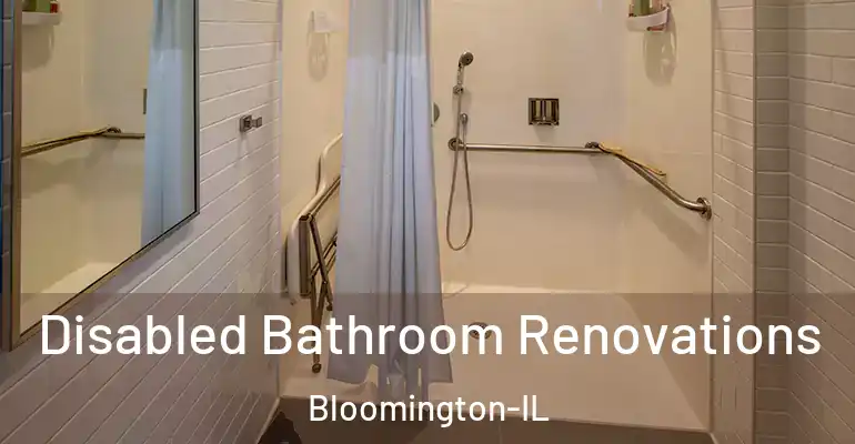 inner Bathroom imggen Disabled Bathroom Renovations Bloomington-IL