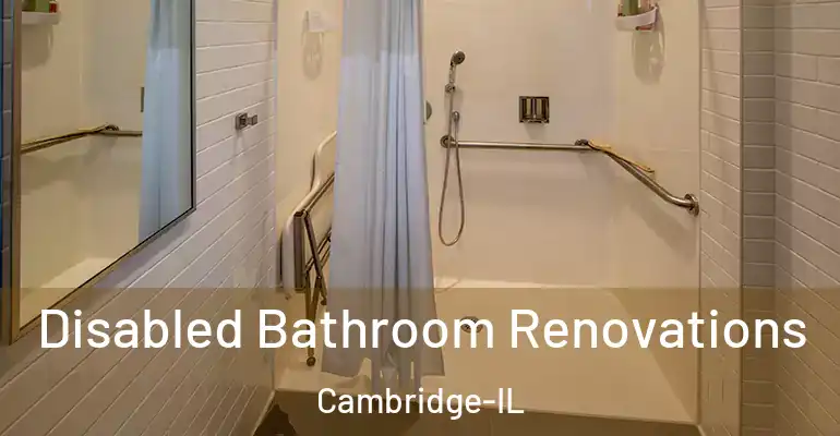 inner Bathroom imggen Disabled Bathroom Renovations Cambridge-IL