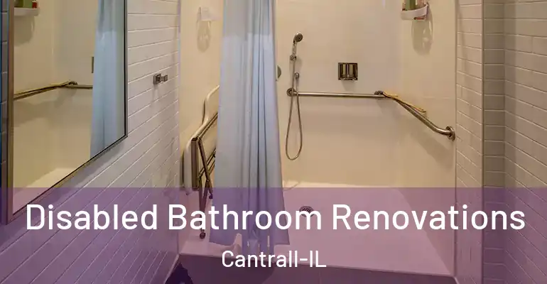 inner Bathroom imggen Disabled Bathroom Renovations Cantrall-IL