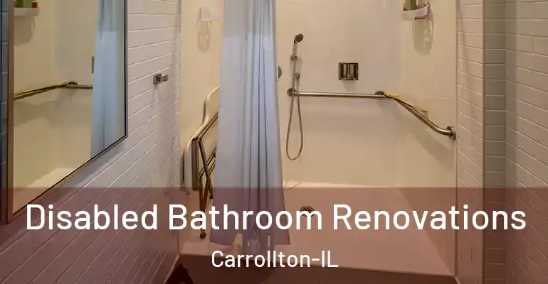 inner Bathroom imggen Disabled Bathroom Renovations Carrollton-IL