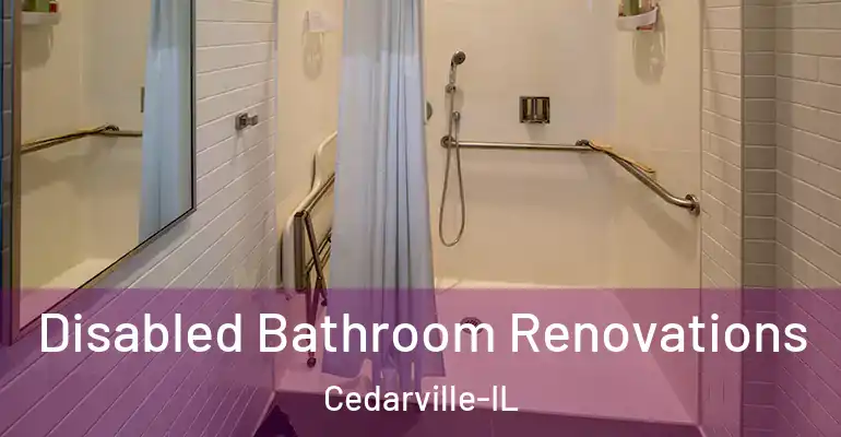 inner Bathroom imggen Disabled Bathroom Renovations Cedarville-IL