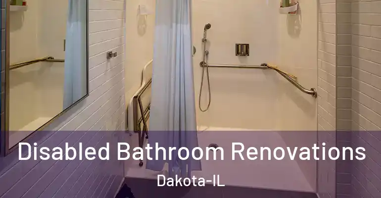 inner Bathroom imggen Disabled Bathroom Renovations Dakota-IL