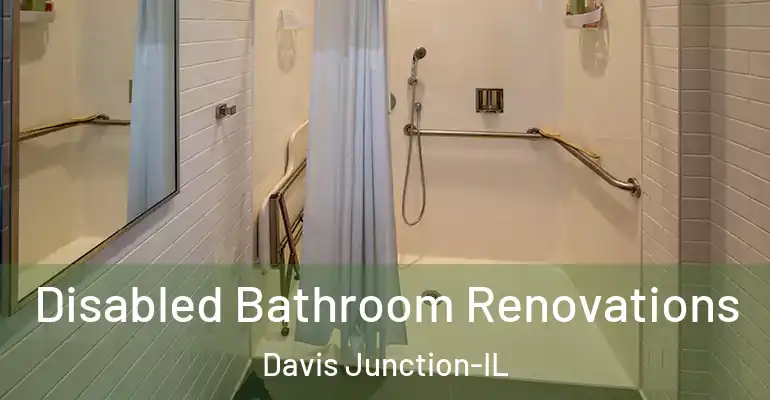 inner Bathroom imggen Disabled Bathroom Renovations Davis Junction-IL