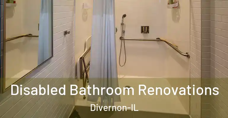 inner Bathroom imggen Disabled Bathroom Renovations Divernon-IL