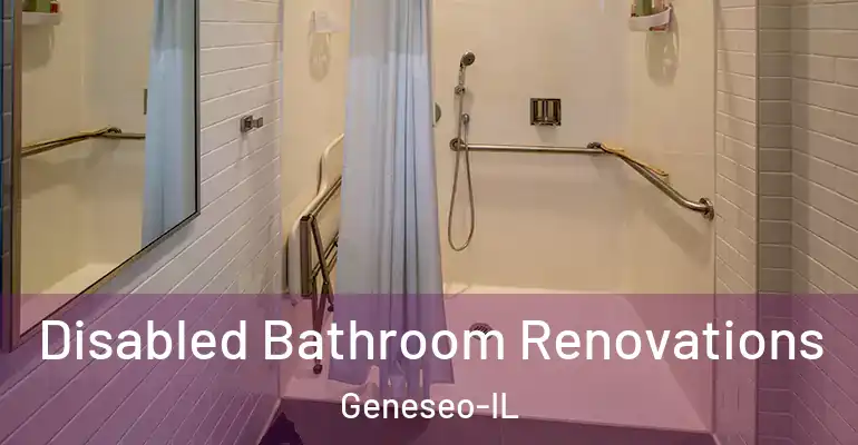inner Bathroom imggen Disabled Bathroom Renovations Geneseo-IL