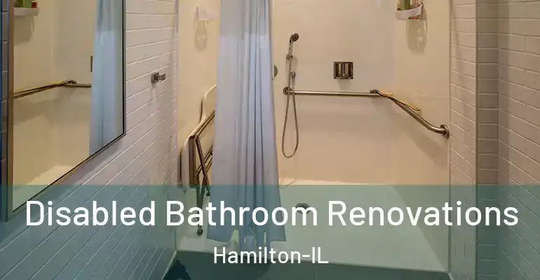 inner Bathroom imggen Disabled Bathroom Renovations Hamilton-IL