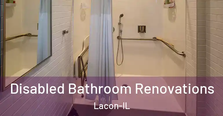 inner Bathroom imggen Disabled Bathroom Renovations Lacon-IL