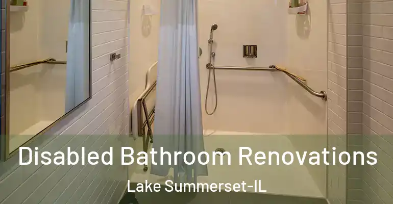 inner Bathroom imggen Disabled Bathroom Renovations Lake Summerset-IL