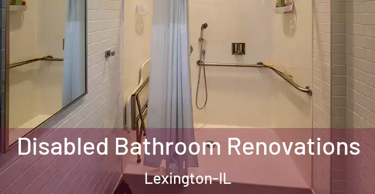 inner Bathroom imggen Disabled Bathroom Renovations Lexington-IL