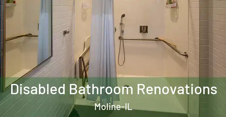 inner Bathroom imggen Disabled Bathroom Renovations Moline-IL