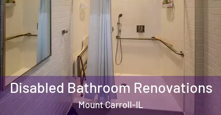 inner Bathroom imggen Disabled Bathroom Renovations Mount Carroll-IL