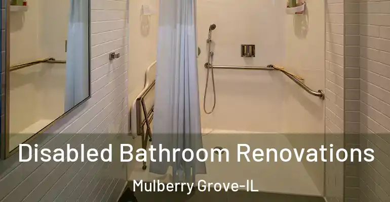 inner Bathroom imggen Disabled Bathroom Renovations Mulberry Grove-IL