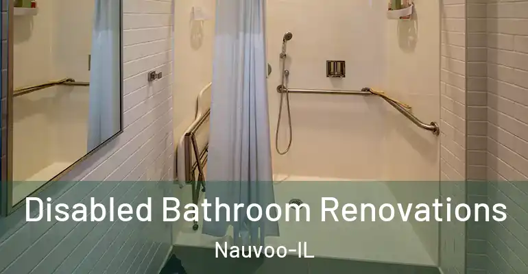 inner Bathroom imggen Disabled Bathroom Renovations Nauvoo-IL
