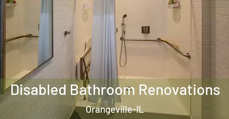 inner Bathroom imggen Disabled Bathroom Renovations Orangeville-IL