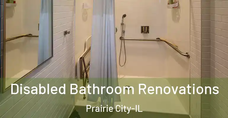 inner Bathroom imggen Disabled Bathroom Renovations Prairie City-IL
